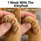 KittyPedi feature view