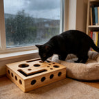 KittyPedi cat using box